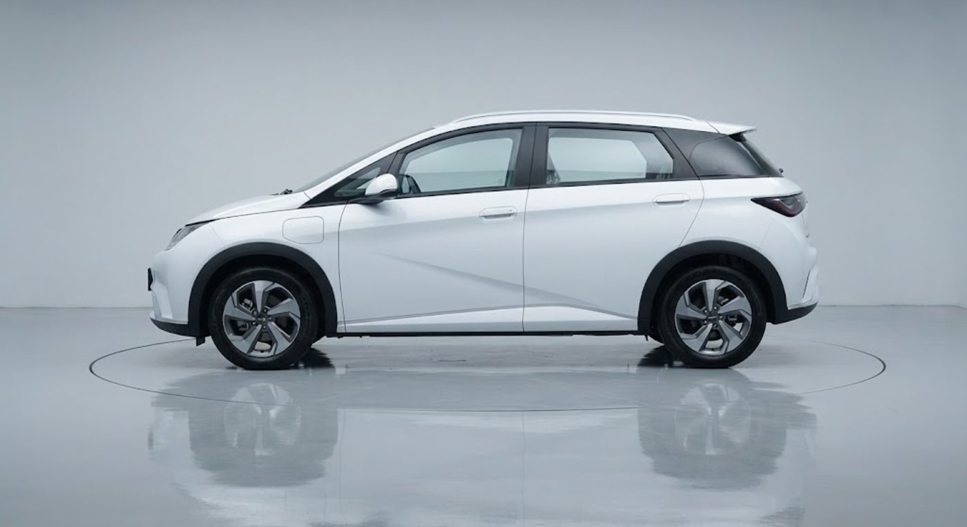 BYD Dolphin in Nepal
