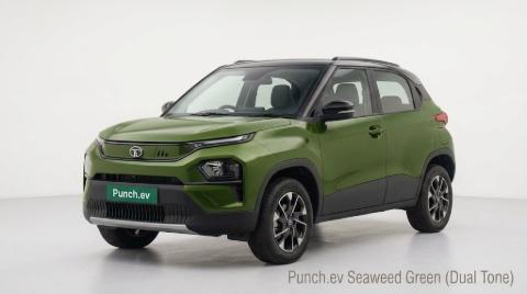 Tata Punch Ev electric car in Nepal